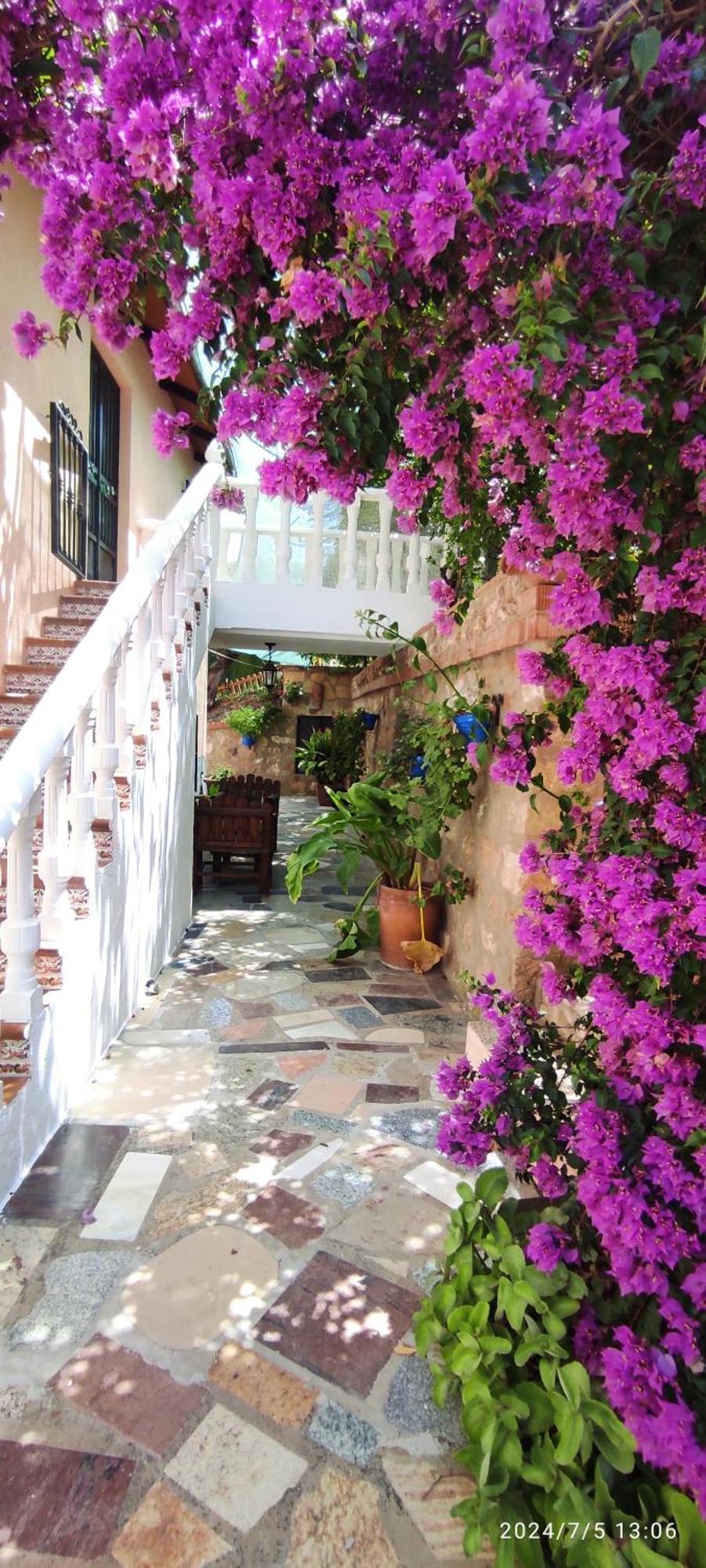 Cortijo de las flores Cazorla La Iruela Exterior foto